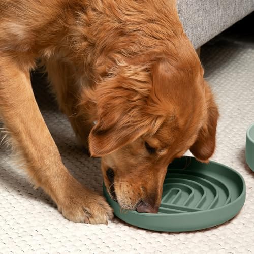 Slow Feeder Dog Bowl - Silicone Dog Bowl, Large, 9.5" x 1.5" - Spruce - Image 4