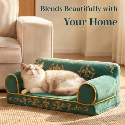 Luxury Cat Couch Bed, Orthopedic Pet Sofa, 24 Inch - Image 2