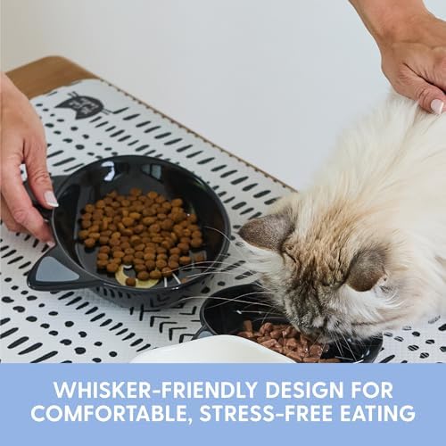 The Cat Ladies Ceramic Cat Bowls - Whisker Friendly Food Bowl - Cute Pet, Kitten Plates - Dishes for Indoor Cats - Dish for Wet Food & Water - Platos para Gatos - Black Cat, Set of 2 - Image 2