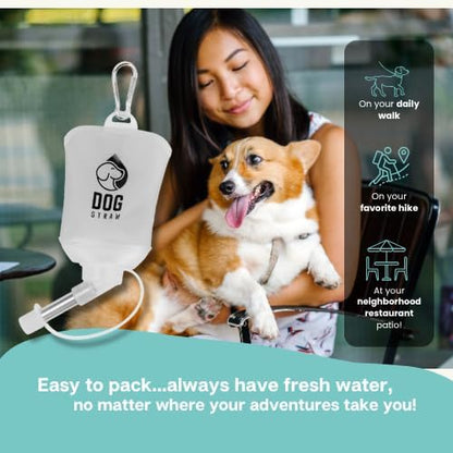 – The Ultimate Portable Water Solution for Dogs, 5oz Gray