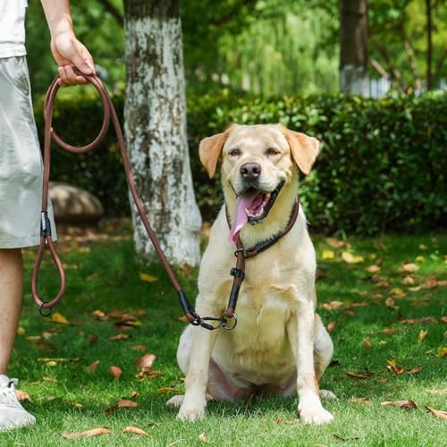 Rope Dog Leash with Two Handles, 6 Foot Heavy Duty Dog Leash with Aviation Aluminum Auto Locking Carabiner, Strong Nylon Pet Lead for Small, Medium, Large Dogs (Brown, 6FT-Two Handle) - Image 6