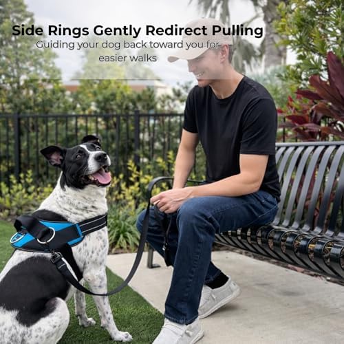 ShawnCo Essential Dog Harness, No-Pull Pet Vest (Stars and Stripes,XS) - Image 3