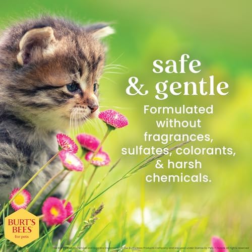 Burts Bees for Pets Tearless Kitten Shampoo with Buttermilk, 10 Fl Oz, 6-Pk - Image 5