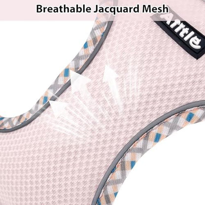 AIITLE XXS Dog Harness & Leash Set with Reflective Design, Blue-Pink XXS - Image 3