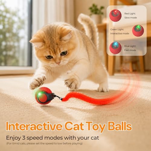 2026 Interactive Cat Toys with Bird Sounds & 3 Modes for Indoor Cats Play - Image 2