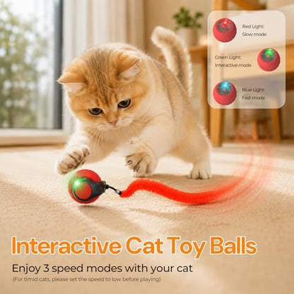 2026 Interactive Cat Toys with Bird Sounds & 3 Modes for Indoor Cats Play - Image 2