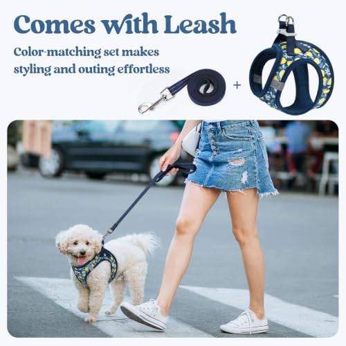 rabbitgoo Dog Harness Medium Sized and Leash Set, Step-in Puppy Pet Vest - Image 6