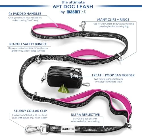 Heavy Duty Dog Leash for Large Dogs – 6FT Reflective Bungee with Padded Handles, Strong Carabiner Clip, No Pull Control for Medium & Large Breeds, Includes Poop Bag Holder & Treat Pouch (Orange) - Image 6