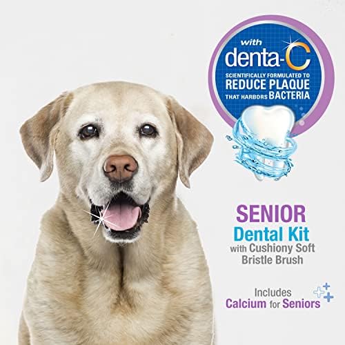 Nylabone Advanced Oral Care Senior Dog Dental Kit with Cushiony Soft-Bristle Toothbrush Bacon (3 Count) - Image 2