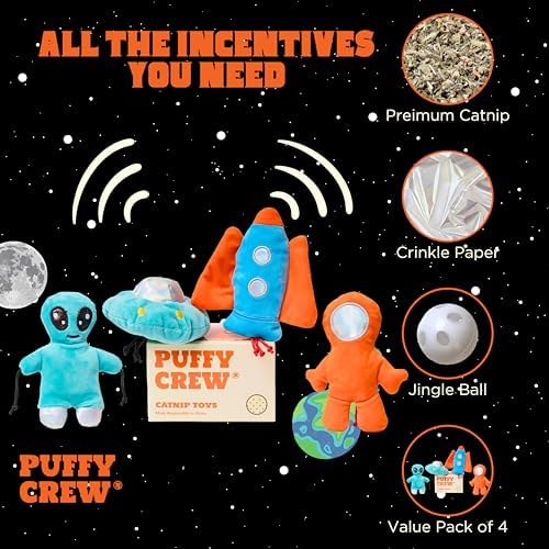 Interactive Catnip Cat Plush Toy, Space Travel Theme, 5‘’, for All Breed Size Cats (4 in 1) - Image 2