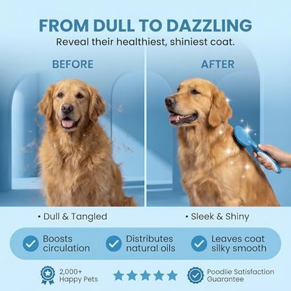 Round Bristle Pet Brush for Dogs and Cats - Soft Dog Brush for Grooming Short or Long Hair - Gentle Tool for Sensitive Skin Removes Dander, Dirt, and Detangles (Blue) - Image 6