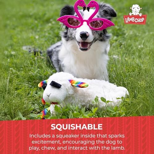 Multipet Lamb Chop Dog Plush Toy w/Birthday Hat - Squeaky Toy for All Dogs - Soft Plush - Stuffed Animal Dog Toys for Playing - Cute Birthday Toy (10.5”, Pink Hat, 5 Squeakers) - Image 4