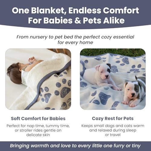 Small Pet Blanket - 100% Organic Cotton, Double Layer Plush Sherpa, Soft Plush, Blue Paw Jacquard Knit, 30"x40", Small Dog Blanket, Ideal Cat Blanket - Soft and Warm - Image 3