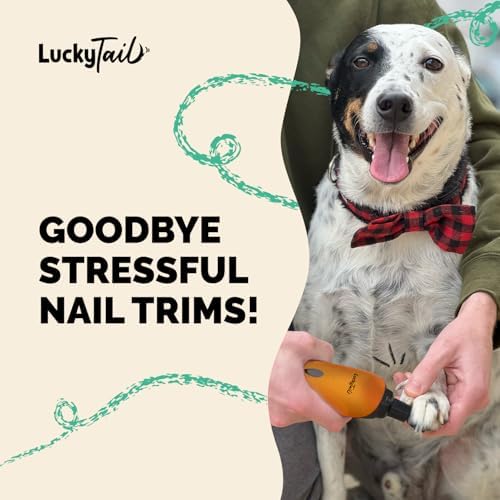 LUCKY TAIL Pet Nail Grinder for Dogs and Cats - Super Quiet and Low Vibration Electric Dog Nail Grinder with 2 LED Lights - USB Rechargeable and Cordless - 2 Speeds - Small to Large Pets - Orange - Image 2