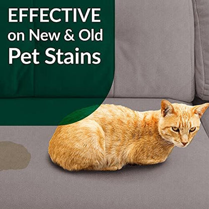Simple Green Cat Stain & Odor Remover - Enzyme Cleaner for Cat Urine, Feces, Blood, Vomit (1 Gallon Refill) (Pack of 2) - Image 7