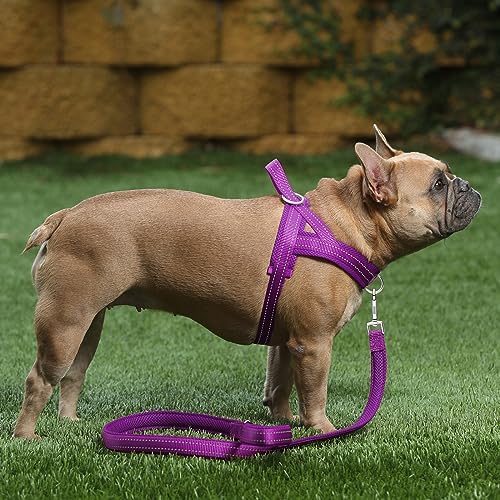 Plutus Pet No Pull Dog Harness for Large Dogs, Breathable Mesh Padded - Image 5
