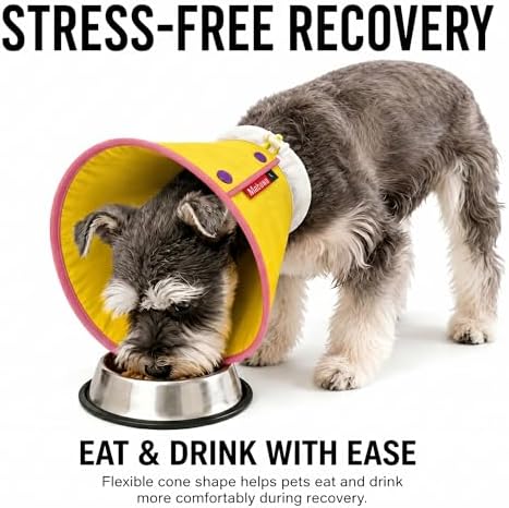 Soft Dog Cone Collar for Dogs & Cats, Adjustable Elizabethan Recovery Collar, Lightweight EPE Material, Post-Surgery Wound Protection (Yellow, L) - Image 2