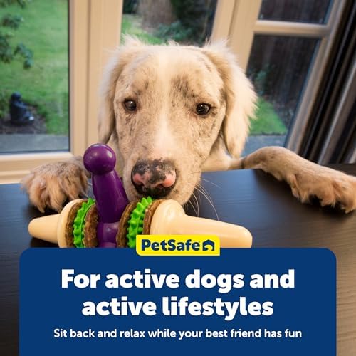 PetSafe Busy Buddy Jack - Treat Holding Dog Chew Toys - Helps Clean Teeth - Vanilla Scented Rubber for Strong Chewers - Treat Refills Included - Interactive Dog Toy Keeps Dogs Busy - Purple, Large - Image 6