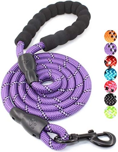 BAAPET 2/4/5/6 FT Dog Leash with Comfortable Padded Handle and Highly Reflective Threads for Small Medium and Large Dogs (5FT-1/2'', Purple) by BAAPET