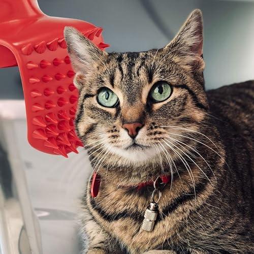 Lick'em Tongue Cat Brush – Funny Novelty White Elephant Gag Gift for Cat Lovers - Image 5
