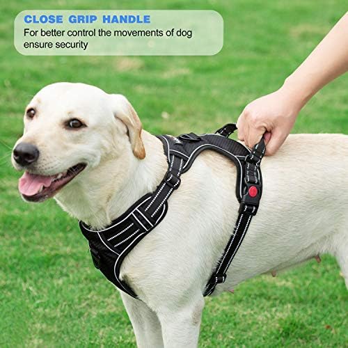 tobeDRI No Pull Dog Harness Adjustable Reflective Oxford Easy Control Medium Large Dog Harness with A Free Heavy Duty 5ft Dog Leash, Orange, M - Image 5