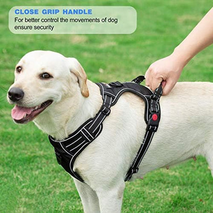 tobeDRI No Pull Dog Harness Adjustable Reflective Oxford Easy Control Medium Large Dog Harness with A Free Heavy Duty 5ft Dog Leash, Pink/Blue, L - Image 5