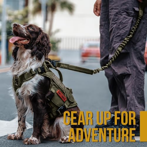 OneTigris Tactical Bungee Leash with 2 Handles Quick Release (Ranger Green) - Image 6