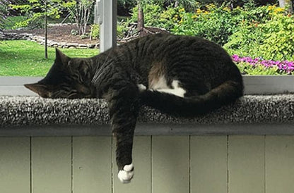 Purrched Cat Window Perch (29 Inch)