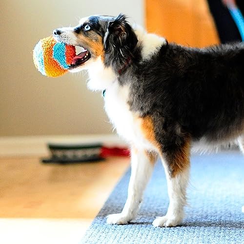 Chuckit! Indoor Fetch Ball Dog Toy, 4.75in, Orange and Blue - Image 6