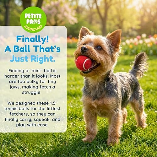 Colorful Squeaky Tennis Balls for Small Dogs and Puppies - 1.5 Inch - 12 Pack - Dog Training Toys for Positive Reinforcement, Interactive Squeaker Ball To Engage Attention Outside, Ball Launcher Fetch - Image 2
