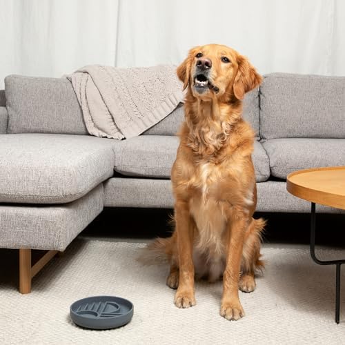 Slow Feeder Dog Bowl - Silicone Dog Bowl, Medium, 7.5" x 1.5" - Sage - Image 6