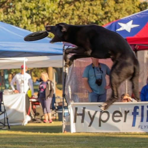 Hyperflite Jawz Dog Flying Disc - World's Toughest Training Dog Toy. Best Competition Flying Disc Toy for Pets, Puncture Resistant - 8.75 Inch - Image 4