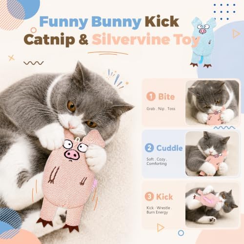 Cat Toys for Indoor Cats, 2 PCS 8000mg A+Natural Catnip Silvervine Crinkle - Image 5