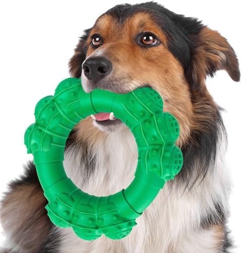 Indestructible Dog Chew Toys for Aggressive Chewers, Super Dog Chewer Toys for Medium Large Dogs, Interactive Dogs Ring Toy, Heavy Duty Teething Toys by DAOZIJI