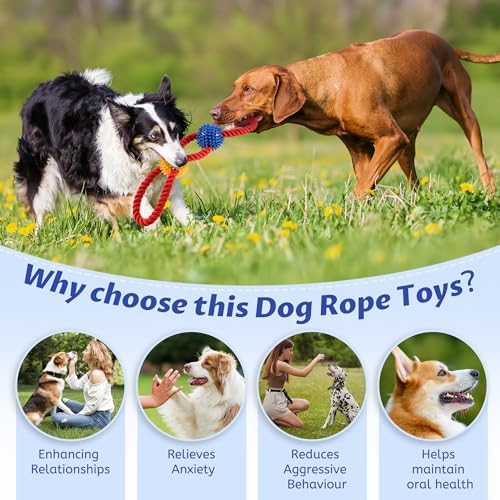 Aitmexcn Dog Rope Toy, Tough Tug of War Toy for Medium and Large Dogs - Image 4