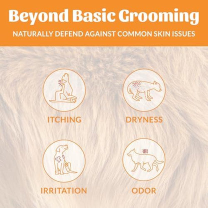 SKOUT'S HONOR Probiotic Dog Shampoo and Conditioner - Honeysuckle, 16 oz - Image 3