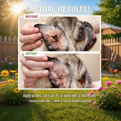 PetSilver Natural Ear Wash Cleaner for Dogs & Cats, Infections, 8 fl oz - Image 5