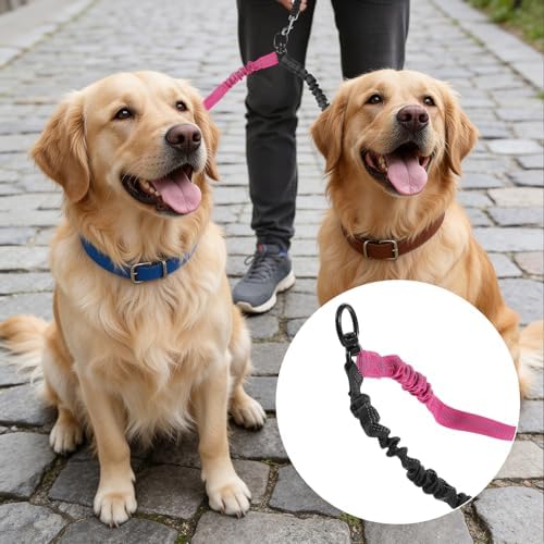 Double Dog Leash, 360° Swivel No Tangle Dual Lead for Two Size Dog - Image 7