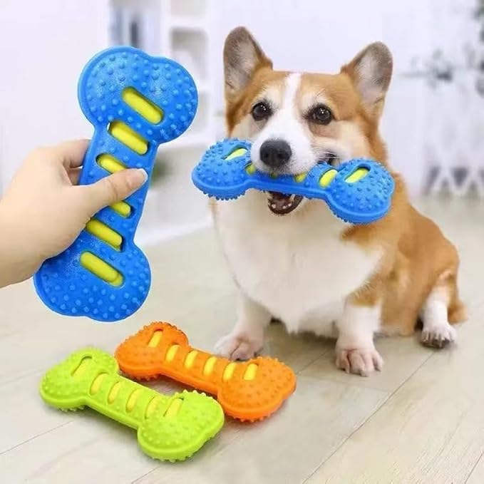 Dog Chew Bone Toy, Interactive Chew Toy for Dental Fun, Dog Squeaky Toys for Aggressive Chewers,Small,Medium, Large Dogs (Blue)