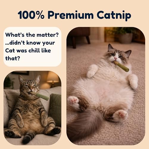 Kitty Kush Catnip Pre-Roll Toys (3-Pack) – Funny Catnip Toys for Cats – Interactive Cat Toy Set for Indoor Cats – 100% Catnip Filled - Image 5