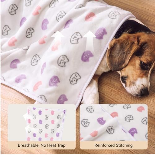 LINENLUX Dog Blankets 3-Pack, Super Soft Fluffy Fleece Pet Throw Warm - Image 2