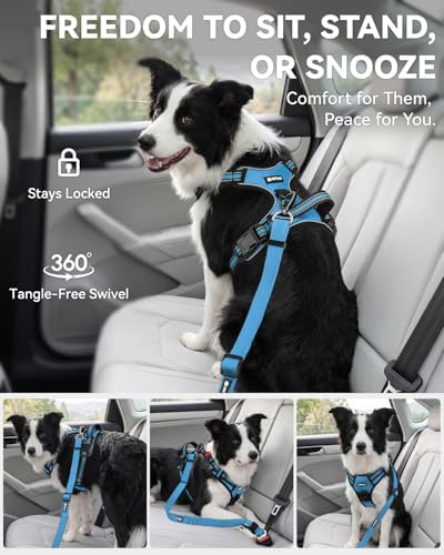 Joytale 3-in-1 Bungee Dog Seat Belt for Car, Medium Large Dogs, Sky Blue - Image 5