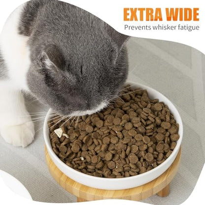 Lusifaco Shallow Wide Elevated Cat Bowls Whisker Fatigue (Blue,Set of 2) - Image 5