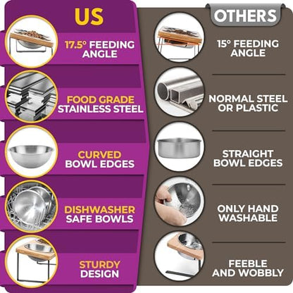 Raised cat Bowls for Indoor Cats by WinTruffles, Elevated cat Bowls, Tilted and Elevated Anti Vomiting Cat Dishes for Food and Water, Set of 2 Stainless Steel Bowl - Image 5