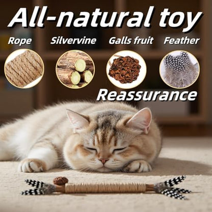 Cat Chew Toys Silvervine Sticks Dental Treat Feather 3Pack Indoor - Image 3