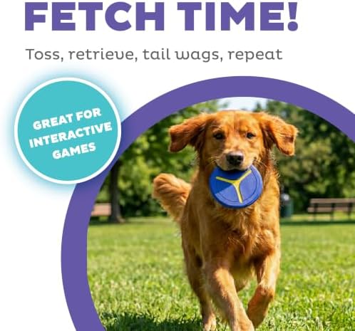 Outward Hound FlyFetch Disc Dog Toy, Durable Rubber, Stand-Alone or Replacement Discs for Launcher, 5", 2-Pack - Image 2
