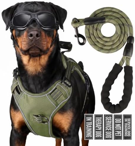 Dog Harness and Leash Set for Medium Dogs, No Pull Tactical Dog Harness, Service Dog Vest with Name Patches, Adjustable Reflective Military Dog Harness with Handle & MOLLE for Training, Army Green, M by Unknown