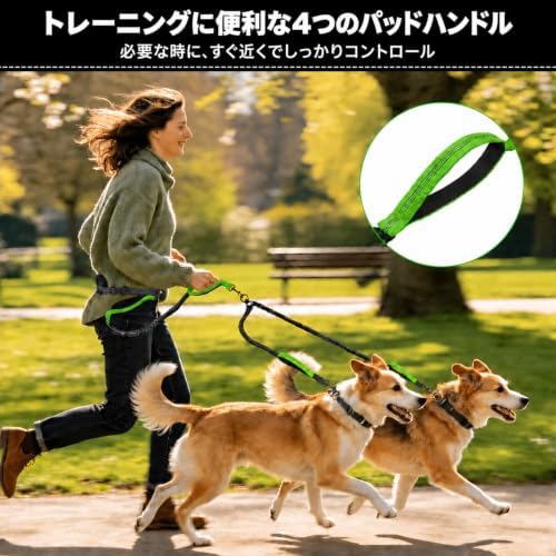 Hands Free Double Dog Leash, 4 Reflective Padded Handles, Adjustable Waist Belt 27-51", Shock-Absorbing Bungee, 360° Swivel Clips, for Small, Medium & Large Dogs, Walking Jogging Running - Image 3