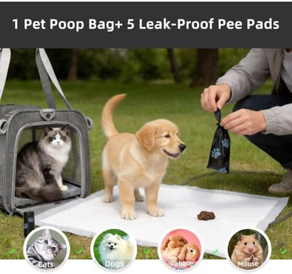 Cat Carrier Soft Sided Dog Carrier with 1 Poop Bags and 5 Pee Pads,Airline Approved Pet Carrier for Small Dog/Cat Bag(18.5" L x 11.8" W x 11.4" H),Ideal for Medium-Large Cats Small Dogs (Gray) - Image 3