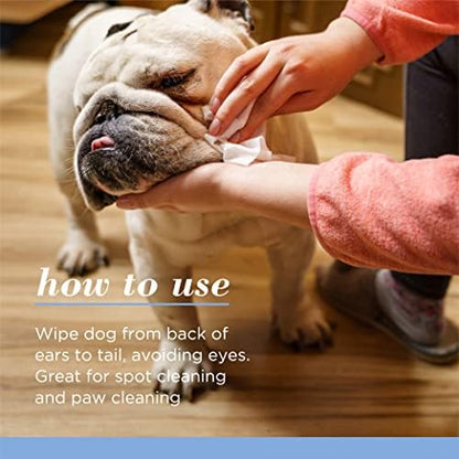 Burts Bees for Pets Gentle Cleansing Puppy Wipes, Buttermilk, 50 Ct, 6-Pk - Image 5